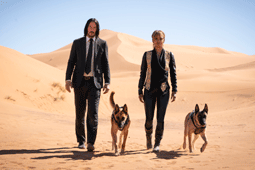 John Wick 5 confirmed to be shooting back-to-back with John Wick 4