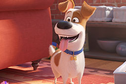 National Pet Day: 8 adorable pet movies to watch with the family