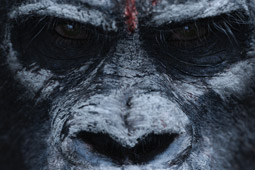 Keri Russell talks Dawn of the Planet of the Apes