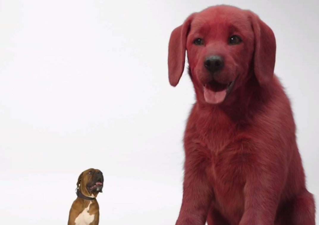 Clifford the Big Red Dog: first look at the 2021 family movie